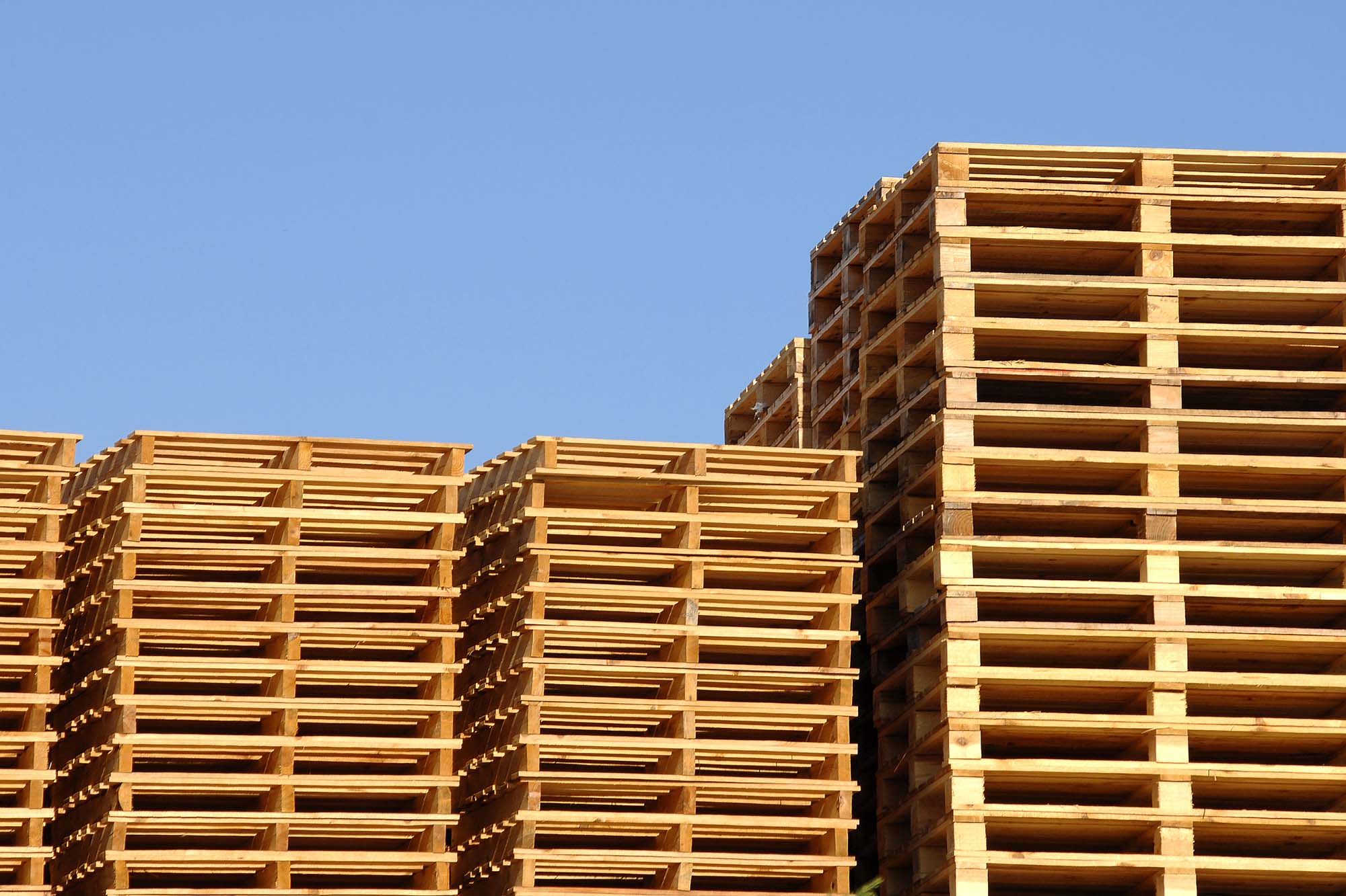 Pallet Collection In Portsmouth, Hampshire Greenway Pallet Services Ltd