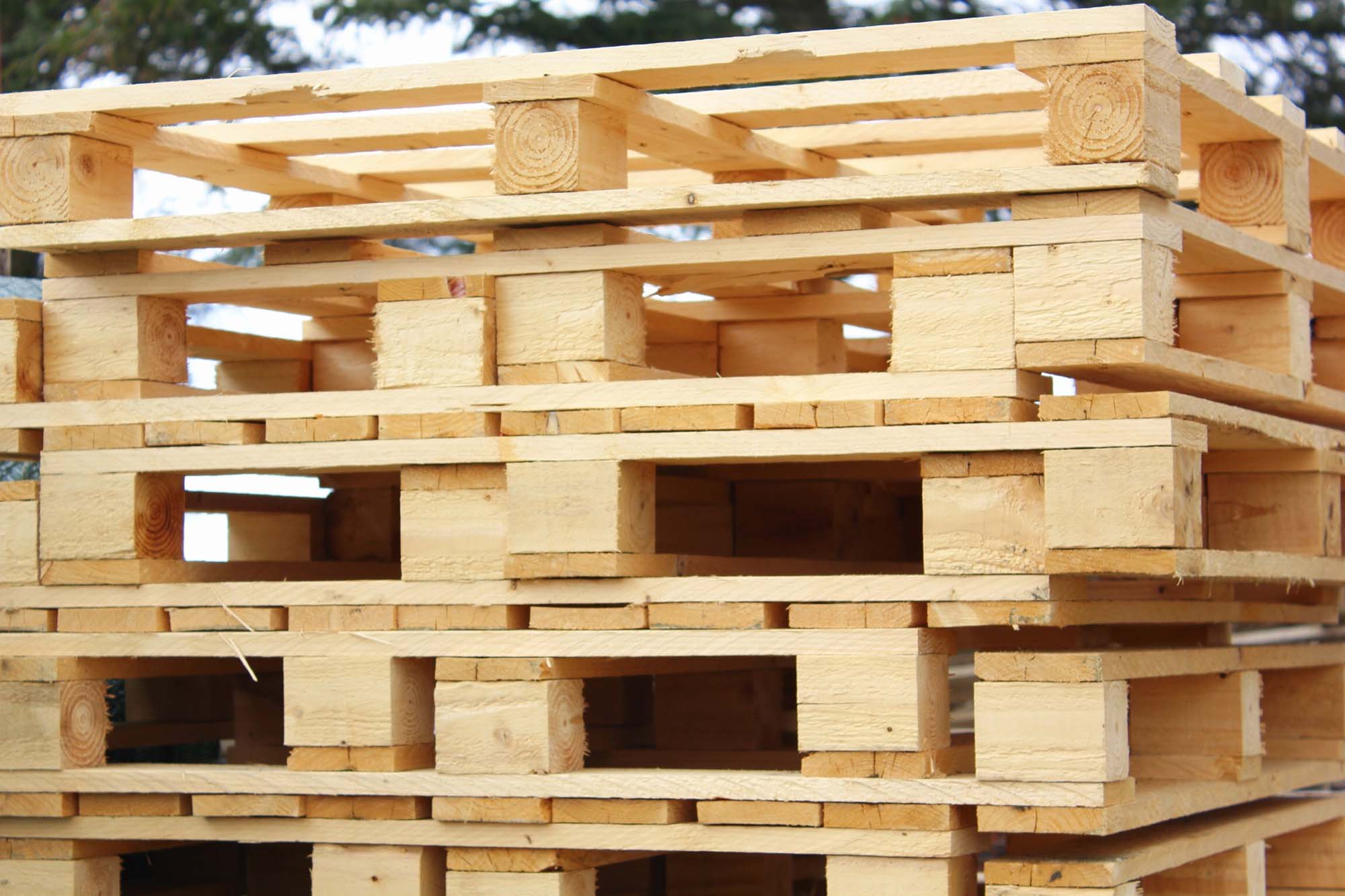Pallet Collection & Sales Services In Hampshire Greenway Pallet Services